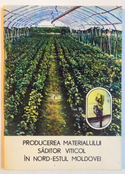 PRODUCEREA MATERIALULUI SADITOR VITICOL IN NORD-ESTUL MOLDOVEI , 1980