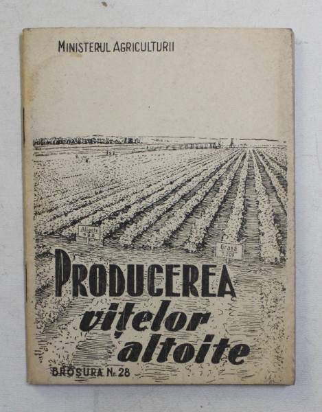 PRODUCEREA VITELOR ALTOITE , 1949