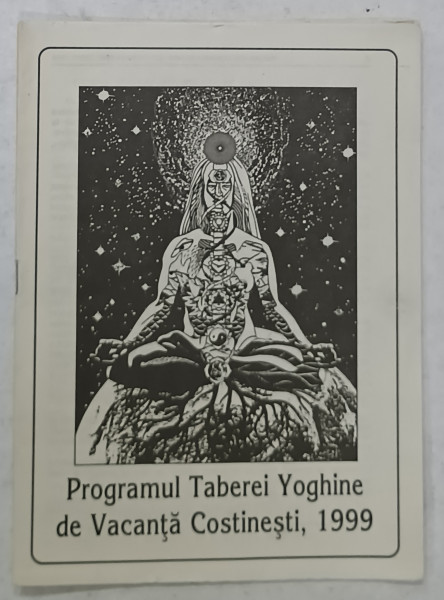 PROGRAMUL TABEREI YOGHINE DE VACANTA , COSTINESTI , 1999
