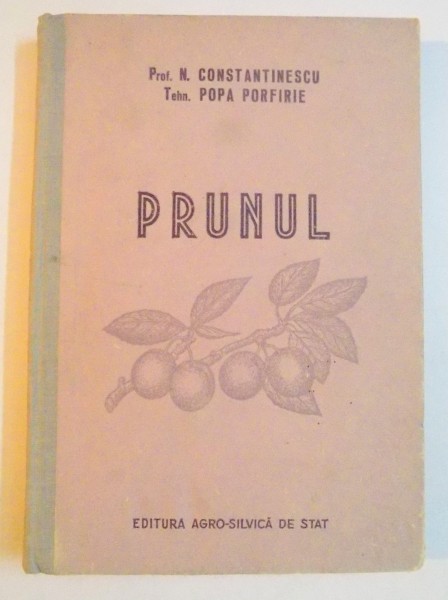 PRUNUL de N. CONSTANTINESCU , POPA PORFIRIE , 1956