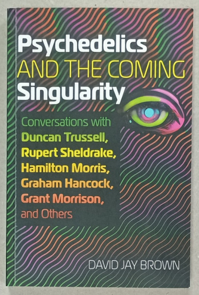 PSYCHEDELICS AND THE COMING SINGULARITY by DAVID JAY BROWN , 2024