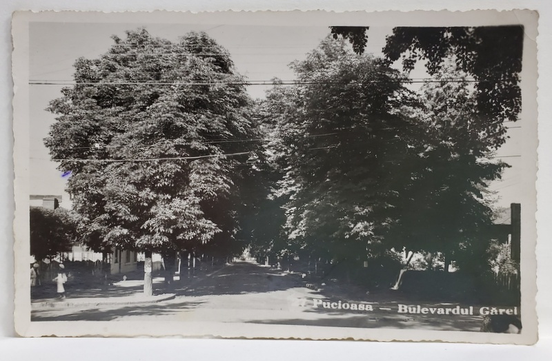 PUCIOASA - BULEVARDUL GARII , FOTOGRAFIE TIP CARTE POSTALA , 1943