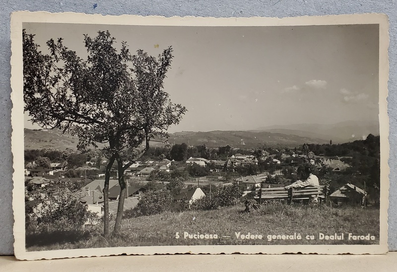 PUCIOASA - VEDERE GENERALA CU DEALUL FARODA , CARTE POSTALA , 1940