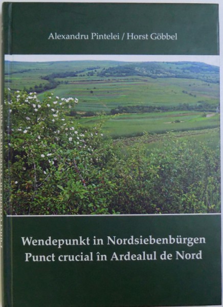 PUNCT CRUCIAL IN ARDELUL DE NORD  / WEDENPUNKT IN NORDSIEBENBURGEN de ALEXANDRU PINTELEI / HORST GOBBEL , ALBUM BILING ROM . - GERMAN , 2004