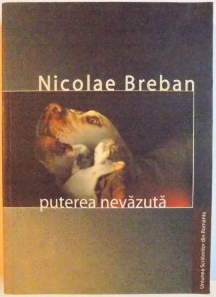 PUTEREA NEVAZUTA de NICOLAE BREBAN , 2004