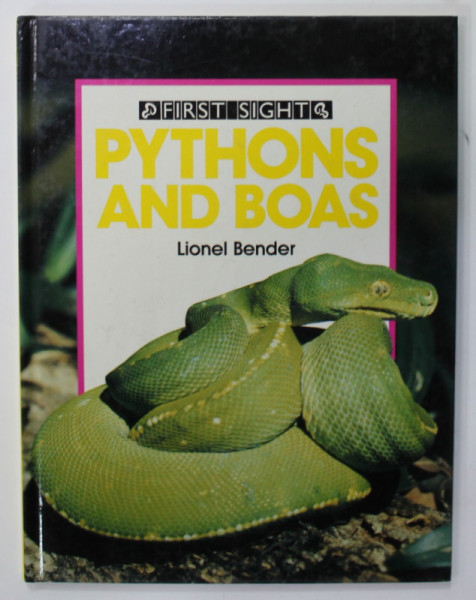 PYTHONS AND BOAS by LIONEL BENDER , 1988