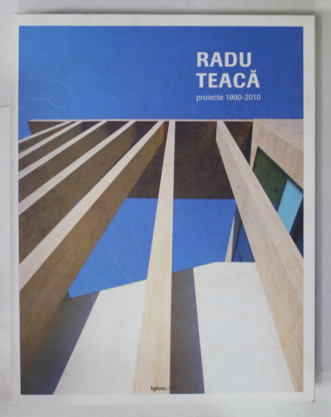 RADU TEACA , PROIECTE 1990- 2010