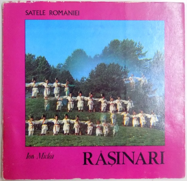 RASINARI der ION MICLEA , 1983