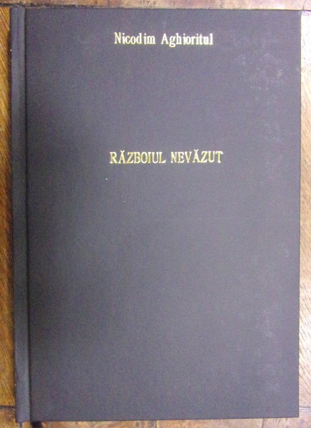 RAZBOIUL NEVAZUT de NICODIM AGHIORITUL, Anul 1996