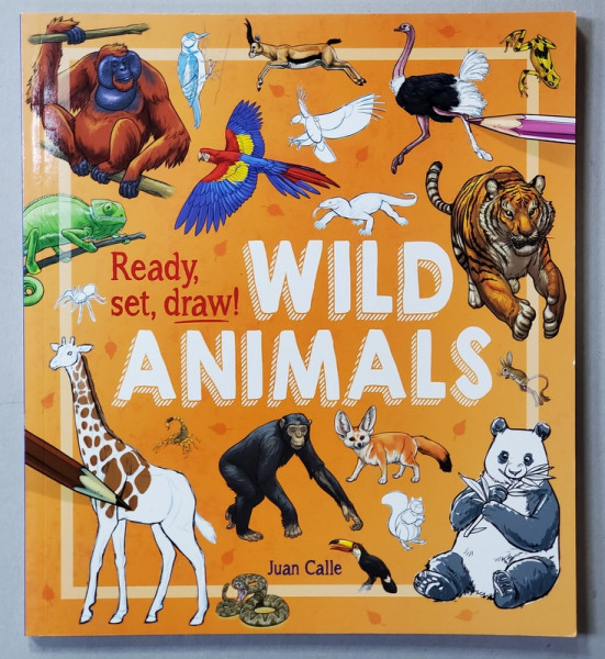 READY , SET , DRAW ! WILD ANIMALS by JUAN CALLE , 2018