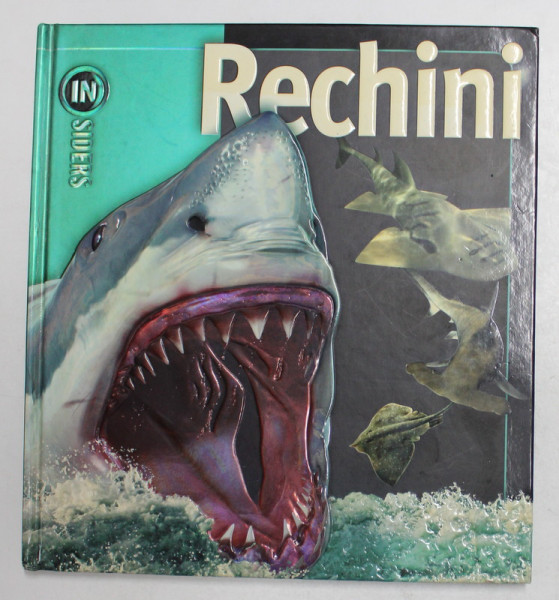 RECHINI de BEVERLY McMILLAN si JOHN A. MUSICK , 2008