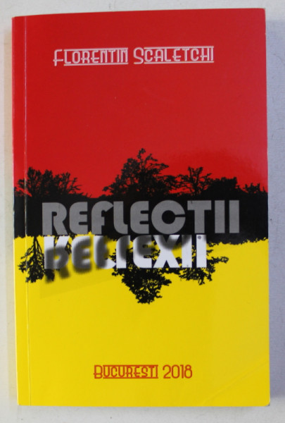 REFLECTII - REFLEXII de FLORENTIN SCALETCHI , 2018