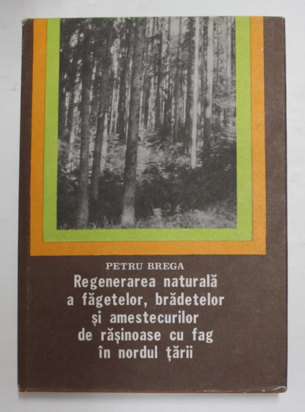 REGENERAREA NATURALA A FAGETELOR , BRADETELOR SI AMESTECURILOR DE RASINOASE CU FAG IN NORDUL TARII de PETRU BREGA , 1986