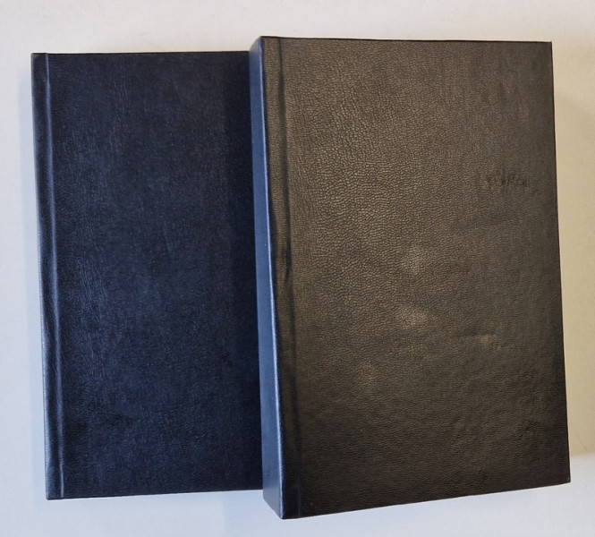 RELIGION , FICTION , AND HISTORY , ESSAYS IN MEMORY OF IOAN PETRU CULIANU , VOLUMES I - II , edited by SORIN ANTOHI , 2001