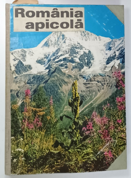 ROMANIA  APICOLA , REVISTA LUNARA , COLEGAT DE 10 NUMERE , 1988