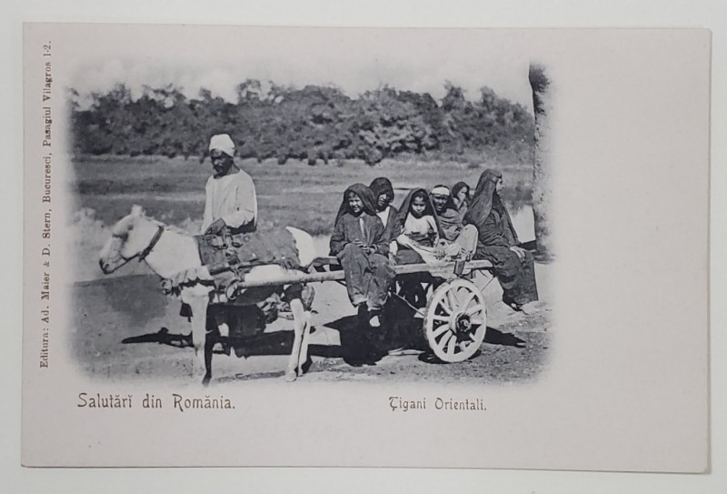 ROMANIA , TIGANI ORIENTALI IN CARUTA TRASA DE MAGAR , CARTE POSTALA , CLASICA