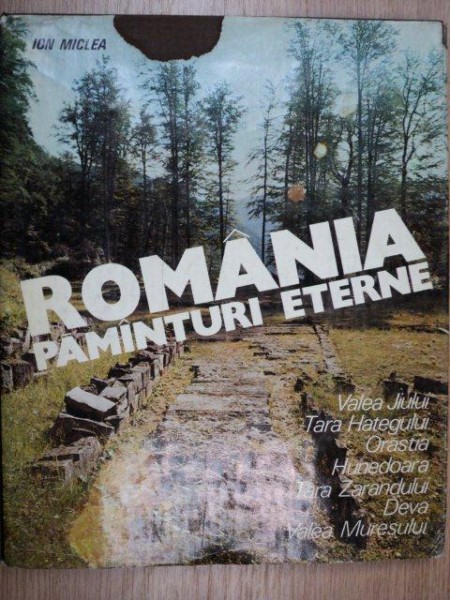 ROMANIA.PAMINTURI ETERNE-ION MICLEA  1980