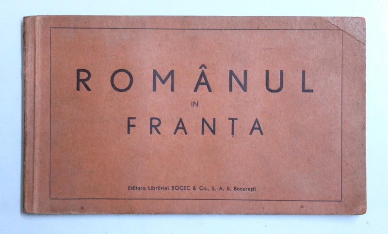 ROMANUL IN FRANTA