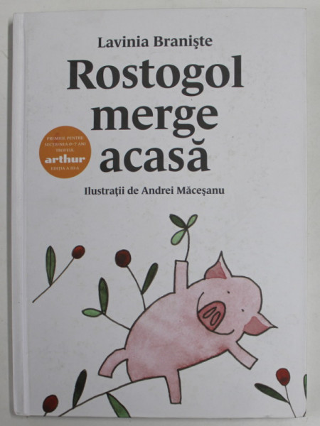 ROSTOGOL MERGE ACASA de LAVINIA BRANISTE , 2020
