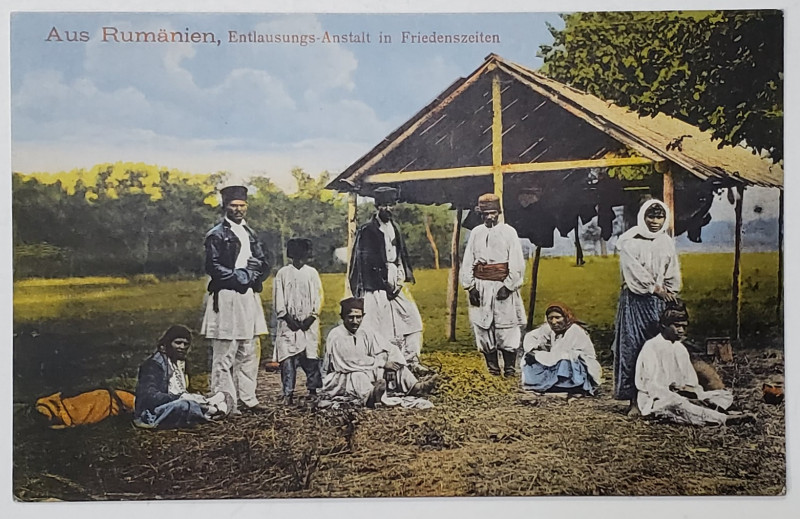 RROMI IN UNITATE SANITARA ( DESPADUCHERE ? ) , IN TIMP DE PACE , CARTE POSTALA ILUSTRATA , INCEPUTUL SEC. XX