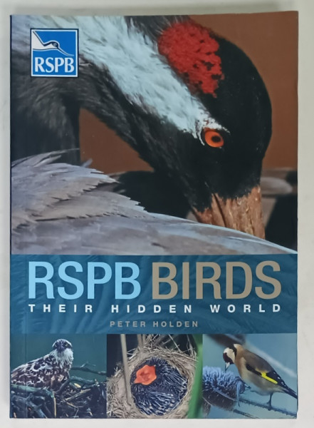 RSPB BIRDS , THEIR HIDDEN WORLD by PETER HOLDEN , 2012
