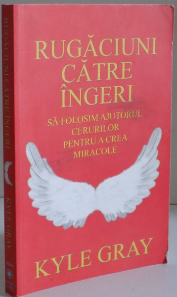 RUGACIUNI CATRE INGERI , SA FOLOSIM AJUTORUL CERURILOR PENTRU A CREA MIRACOLE de KYLE GRAY , 2014 , PREZINTA SUBLINIERI