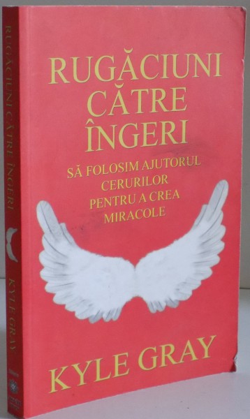 RUGACIUNI CATRE INGERI , SA FOLOSIM AJUTORUL CERURILOR PENTRU A CREA MIRACOLE de KYLE GRAY , 2014