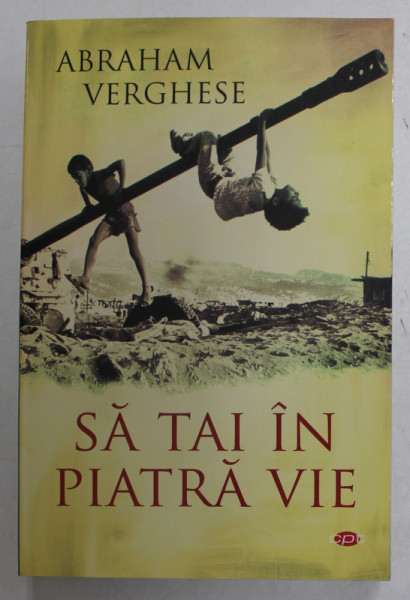 SA TAI IN PIATRA VIE , 2011