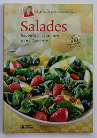 SALADES - SAVEURS ET COULEURS DANS L 'ASIETTE - LES MEILLEURS 100 RECETTES par CATY BERUBE , 2013