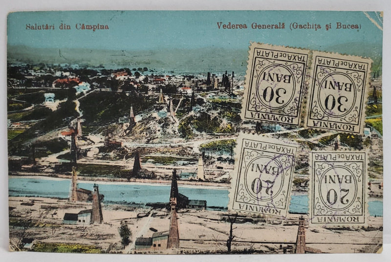 SALUTARI DIN CAMPINA , VEDERE GENERALA ( GACHITA SI BUCEA ) , CARTE POSTALA , CU 4 TIMBRE DE 20 si 30 DE BANI , 1924