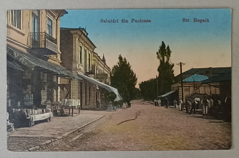 SALUTARI DIN PUCIOASA , STRADA REGALA , CARTE POSTALA , INCEPUTUL SEC. XX