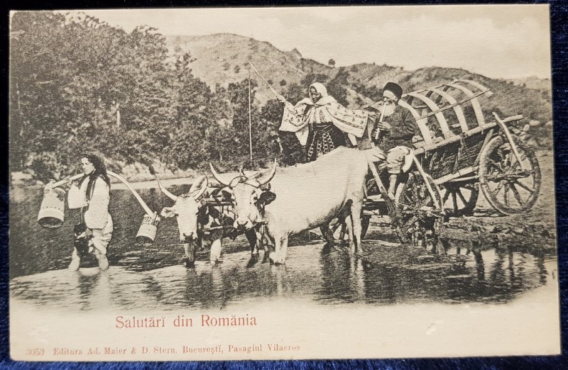Salutari din Romania, 3053 -  CP tip foto