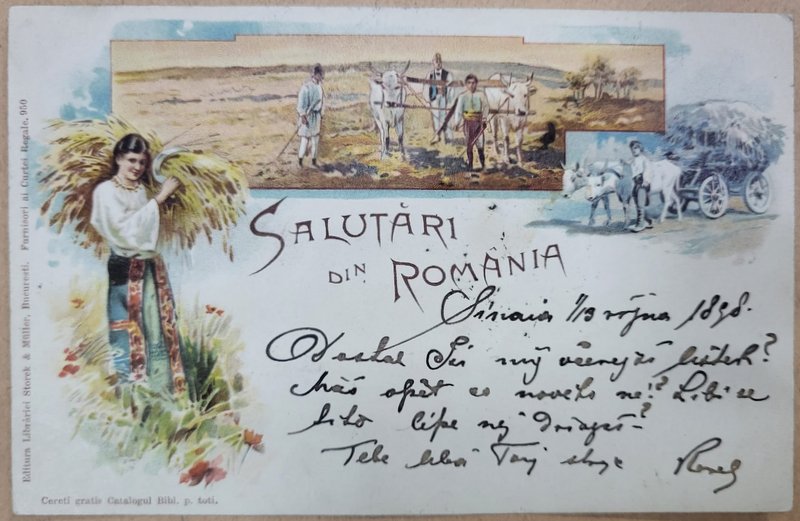 SALUTARI DIN ROMANIA , CROMOLITOGRAFIE, MONTAJ  CU SCENE DE LA MUNCA CAMPULUI , CARTE POSTALA , CLASICA