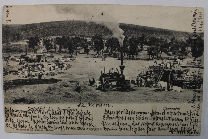 SALUTARI DIN ROMANIA , LA TREIERAT , CARTE POSTALA , CLASICA