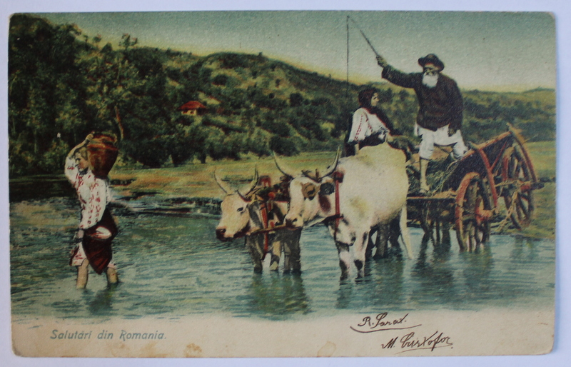 SALUTARI DIN ROMANIA  - TARANI TRECAND RAUL CU CARUL CU BOI - CARTE POSTALA ILUSTRATA , POLICROMA, CIRCULATA , CLASICA , DATATA 1904