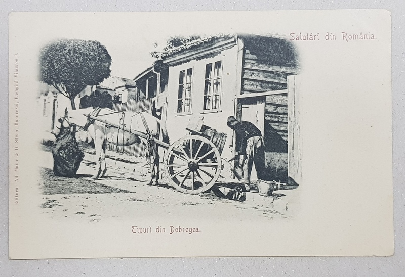 SALUTARI DIN ROMANIA  - TIPURI DIN DOBROGEA , CARTE POSTALA ILUSTRATA , MONOCROMA , NECIRCULATA , CLASICA