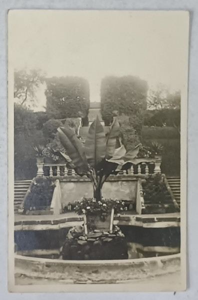 SANATORIUM BRUCKENTHAL DIN AVRIG , FOTOGRAFIE TIP CARTE POSTALA , 1930
