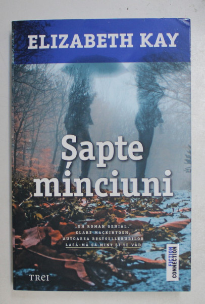 SAPTE MINCIUNI , un roman de ELIZABETH KAY , 2021