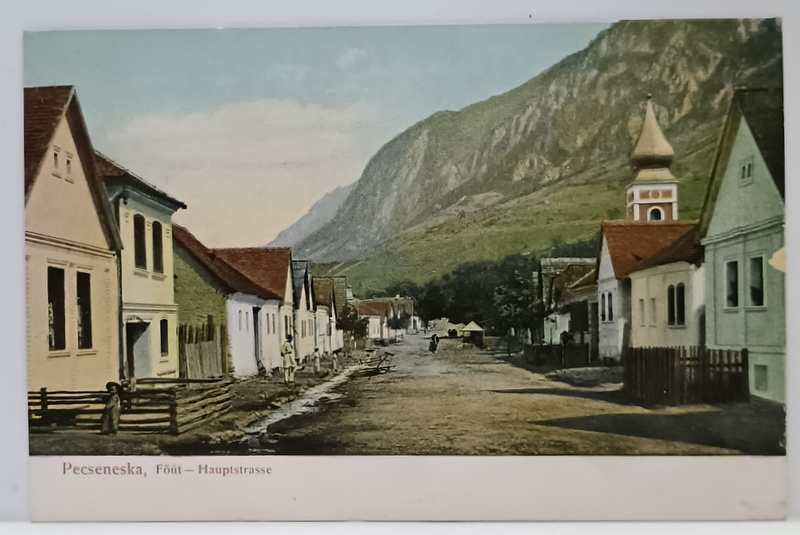 SATUL PECINISCA , CARAS - SEVERIN , STRADA PRINCIPALA , CARTE POSTALA ILUSTRATA , INTERBELICA