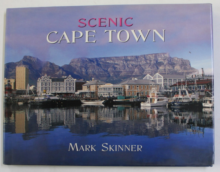 SCENIC CAPE TOWN by MARK SKINNER , 1999