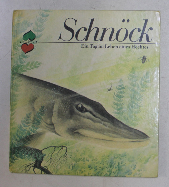 SCHNOCK  - EIN TAG IM LEBEN EINES HECHTES , text von BODO SCHULENBURG , illustrationen von HEINZ - HELGE SCHULZE , 1986