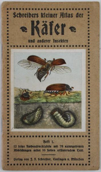 SCHREIBERS KLEINER ATLAS DER KAFER UND ANDEREN INSEKTEN , HEFT I , EDITIE INTERBELICA , TEXT IN GERMANA CU CARACTERE GOTICE