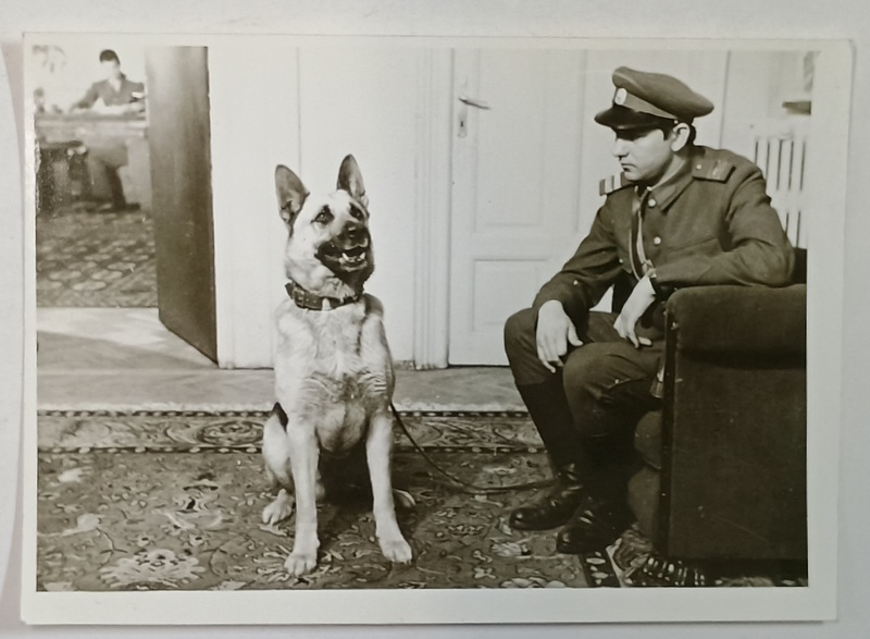 SEBASTIAN  PAPAIANI IN ROLUL PLUTONIERULUI CAPSUNA , SCENA DIN FILMUL ' B.D.  INTRA  IN ACTIUNE , FOTOGRAFIE DE PRESA , 1970