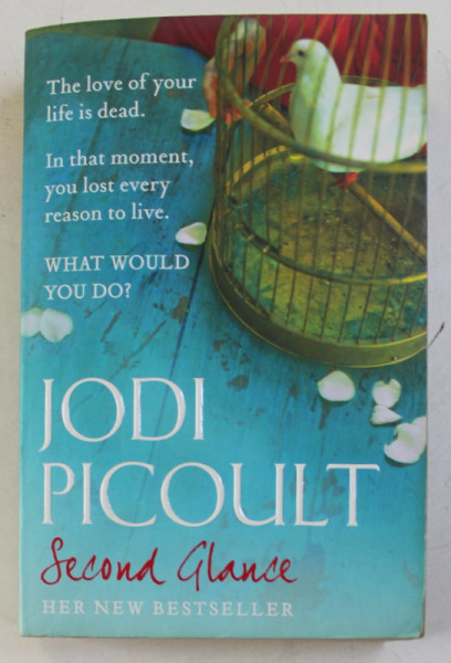 SECOND GLANCE by JODI PICOULT , 2008