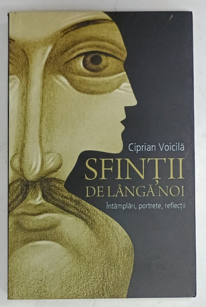 SFINTII DE LANGA NOI , INTAMPLARI , PORTRETE , REFLECTII de CIPRIAN VOICILA , 2014