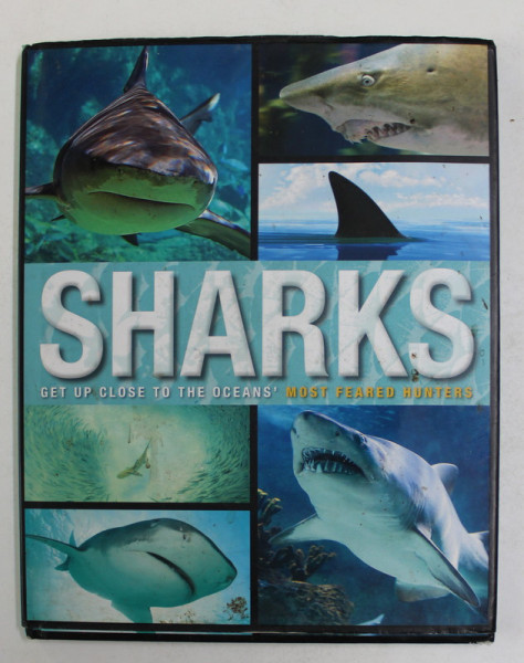 SHARKS = GET UP CLOSE TO THE OCEANS ' S MOST FEARED HUNTERS , 2015