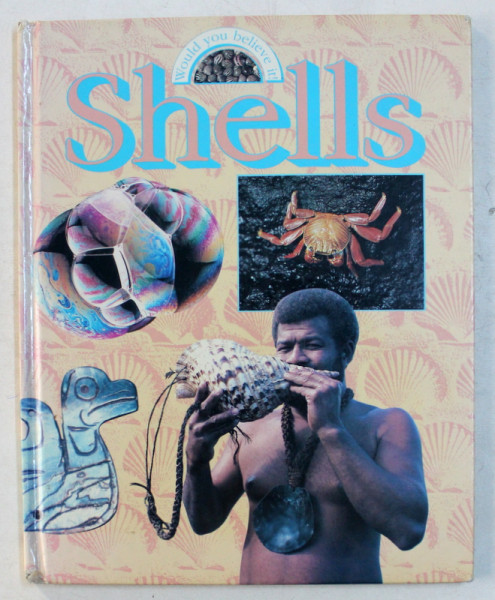 SHELLS by CATHERINE CHAMBERS , 1995