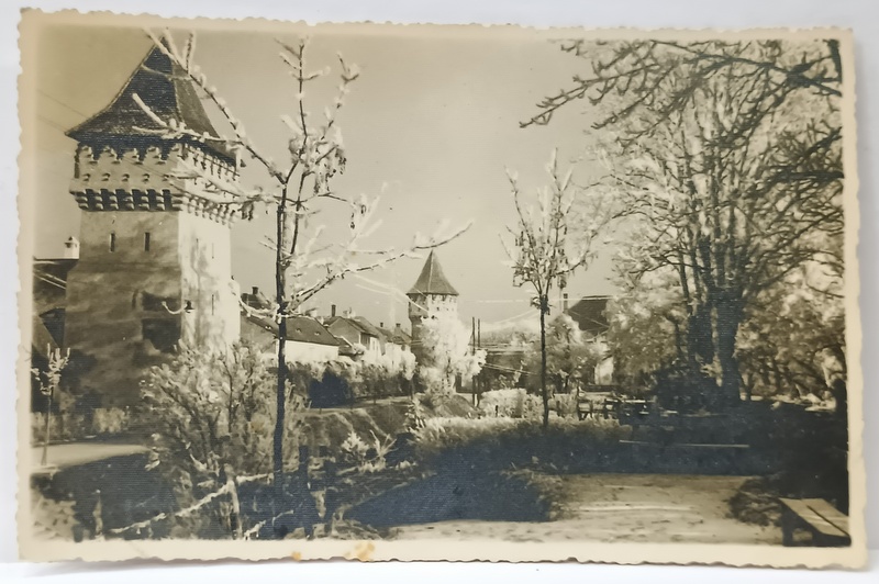 SIBIU , PROMENADA CETATII , FOTO. ORIG. E. FISCHER , CARTE POSTALA , 1941