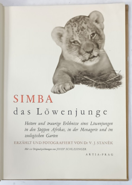 SIMBA , DAS LOWENJUNGE( SIMBA , PUIUL DE LEU )  von  Dr. V. J. STANEK, 1956, TEXT IN LIMBA GERMANA