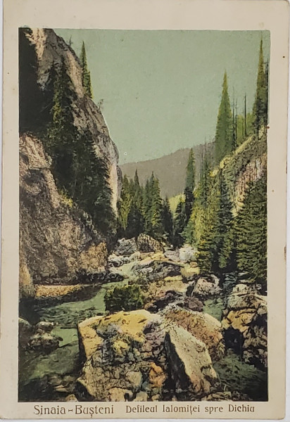 SINAIA - BUSTENI , DEFILEUL IALOMITEI SPRE DICHIU , CARTE POSTALA ILUSTRATA , 1923